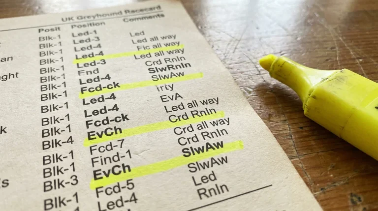 Reading Greyhound Running Lines and Race Comments